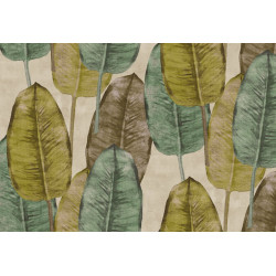 Tahiti Rubber Tree TA25081