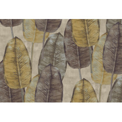 Tahiti Rubber Tree TA25082