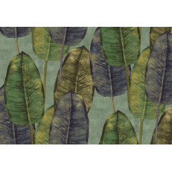 Tahiti Rubber Tree TA25083