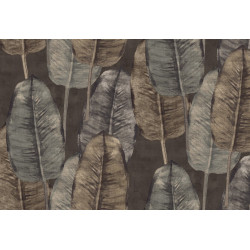 Tahiti Rubber Tree TA25084